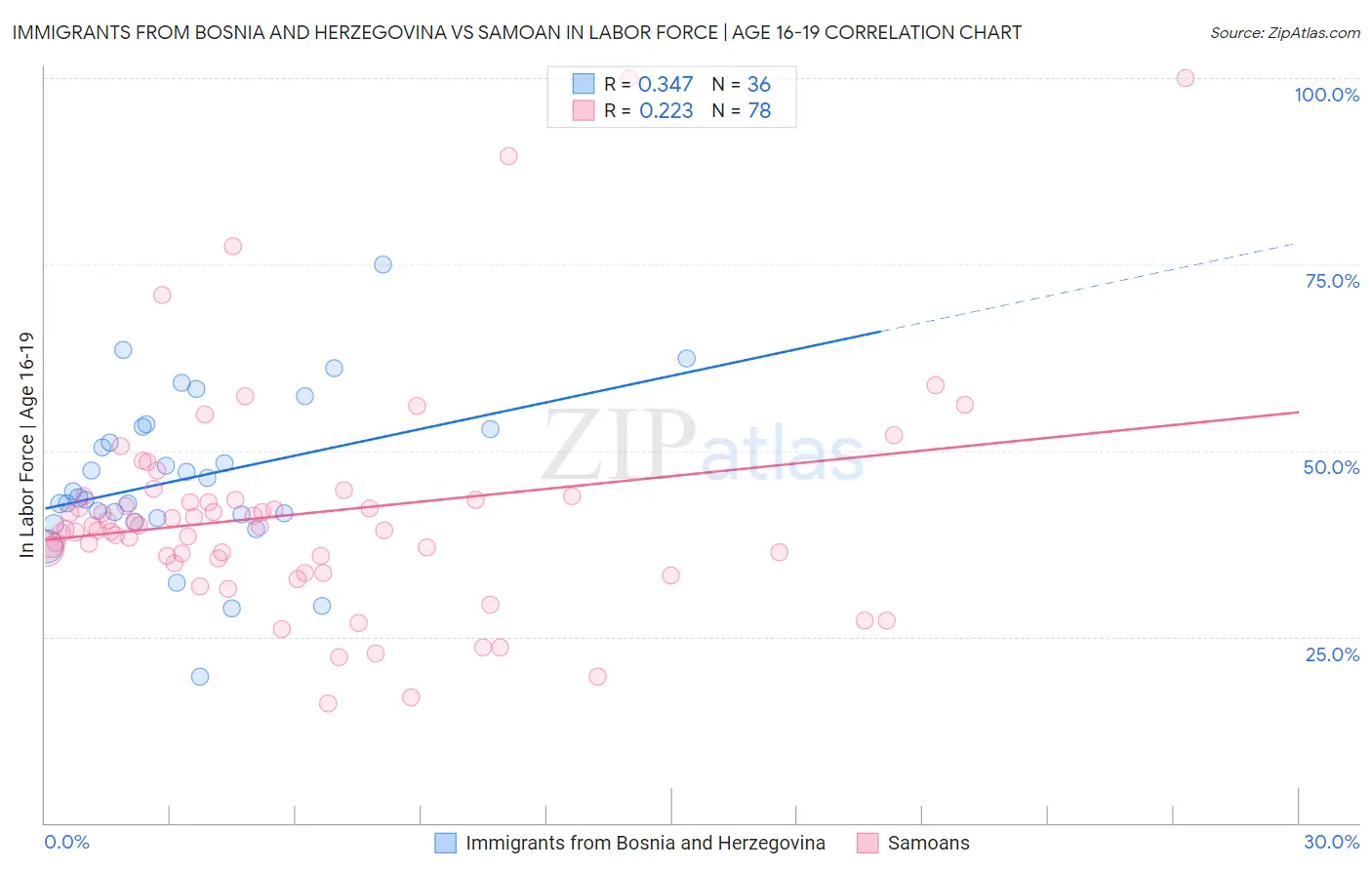 Immigrants from Bosnia and Herzegovina vs Samoan In Labor Force | Age 16-19