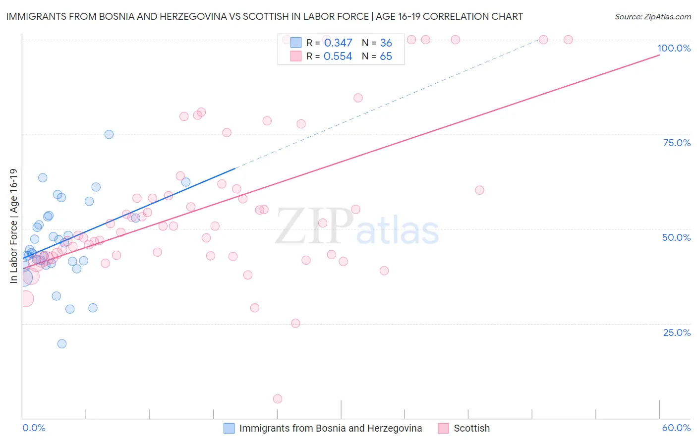 Immigrants from Bosnia and Herzegovina vs Scottish In Labor Force | Age 16-19