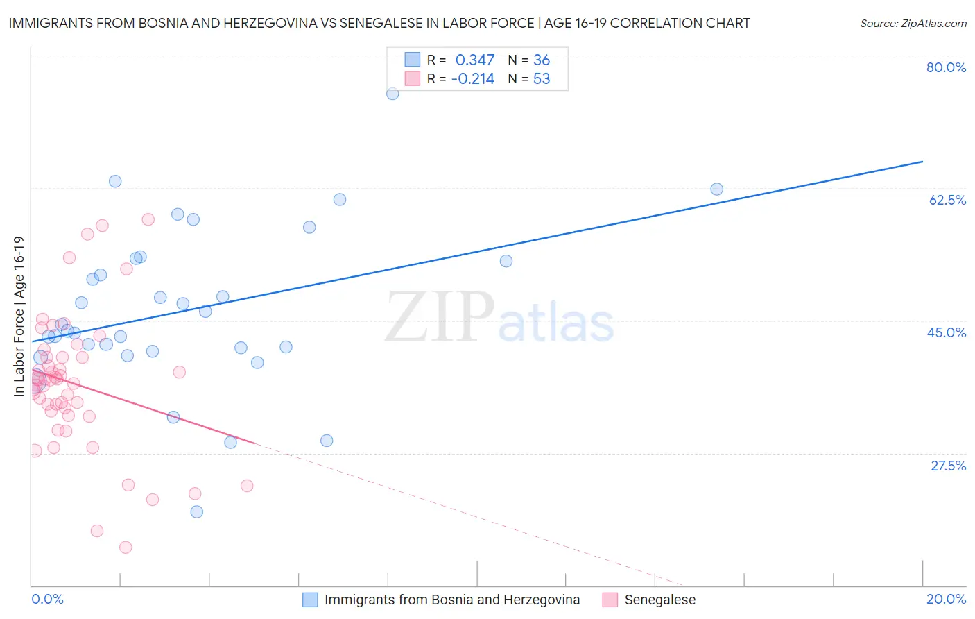 Immigrants from Bosnia and Herzegovina vs Senegalese In Labor Force | Age 16-19