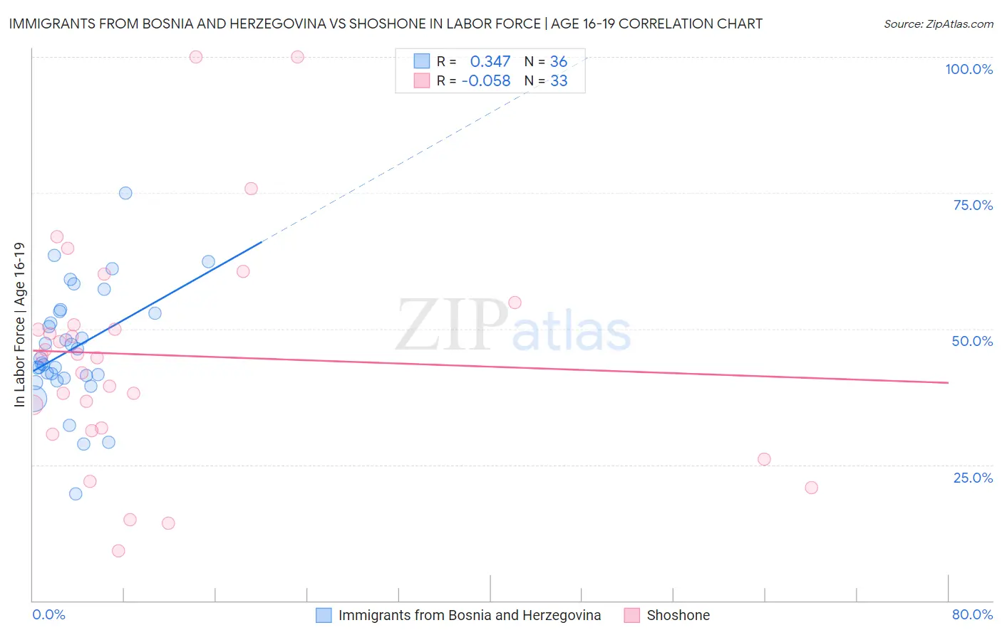Immigrants from Bosnia and Herzegovina vs Shoshone In Labor Force | Age 16-19