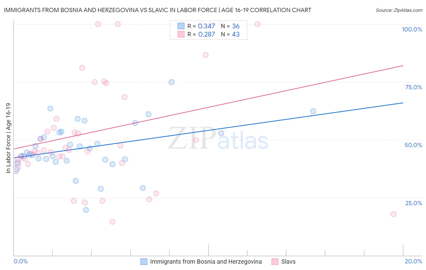 Immigrants from Bosnia and Herzegovina vs Slavic In Labor Force | Age 16-19