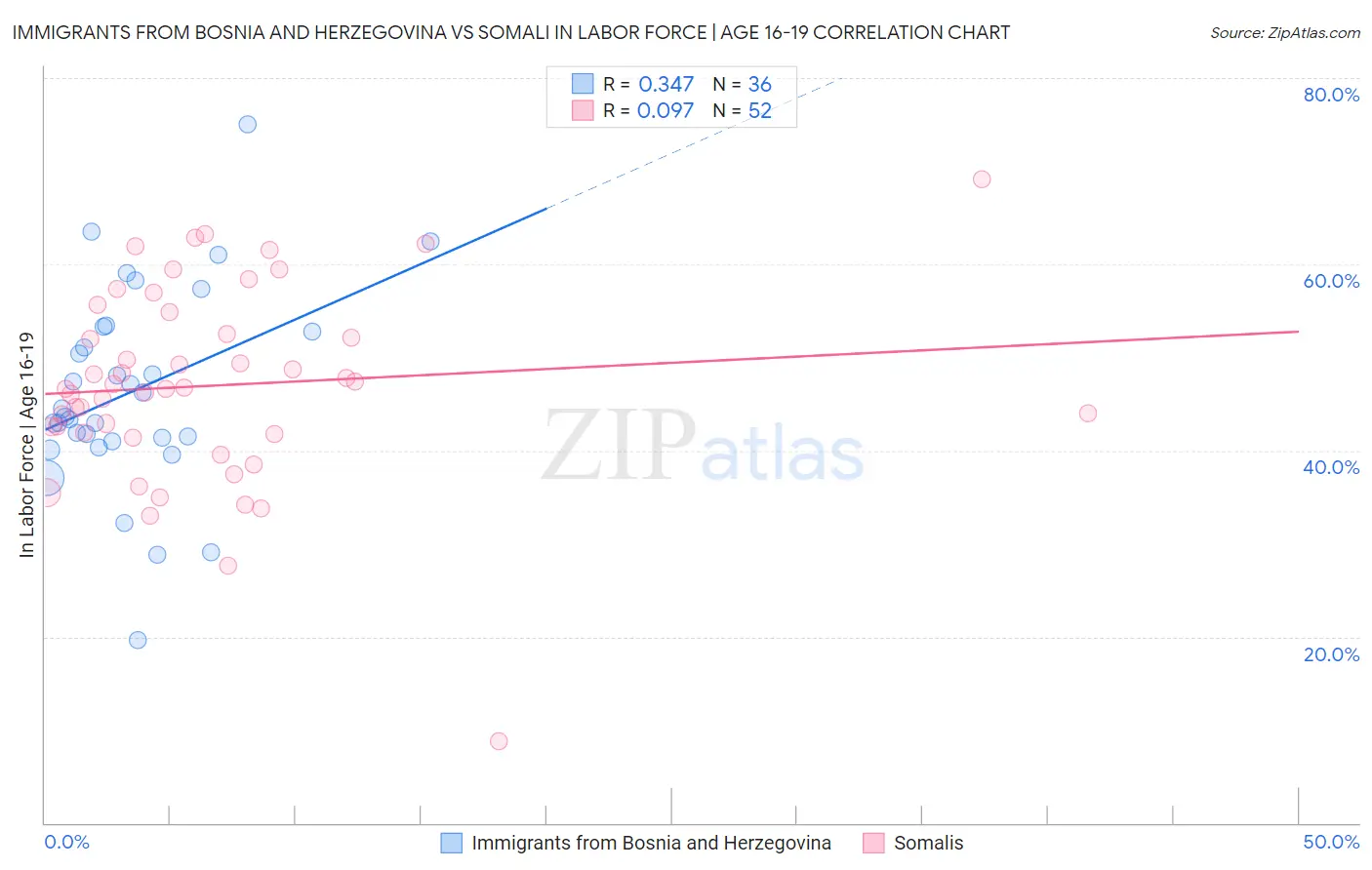 Immigrants from Bosnia and Herzegovina vs Somali In Labor Force | Age 16-19