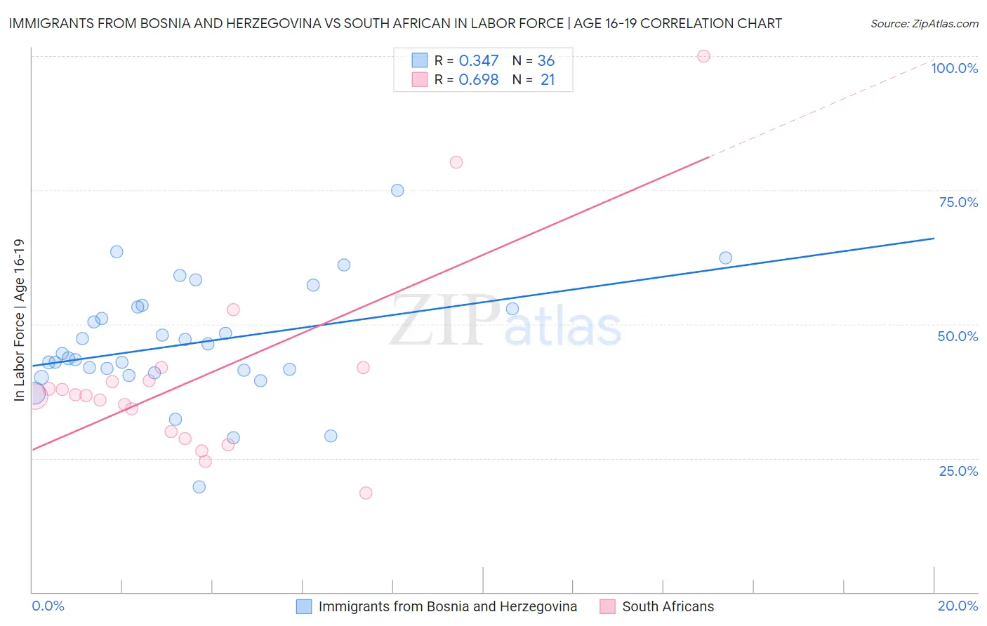 Immigrants from Bosnia and Herzegovina vs South African In Labor Force | Age 16-19