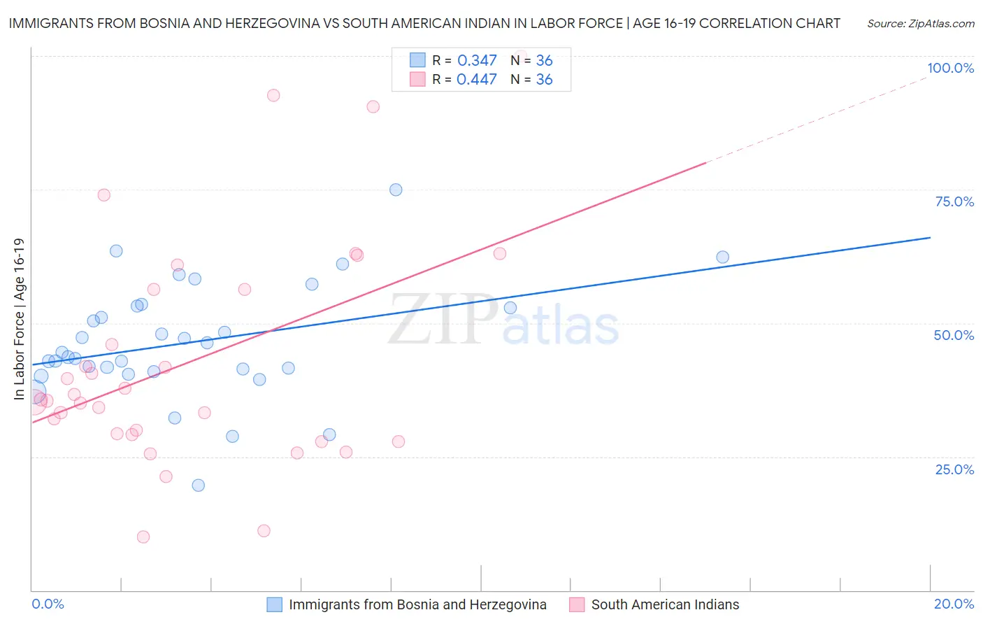 Immigrants from Bosnia and Herzegovina vs South American Indian In Labor Force | Age 16-19