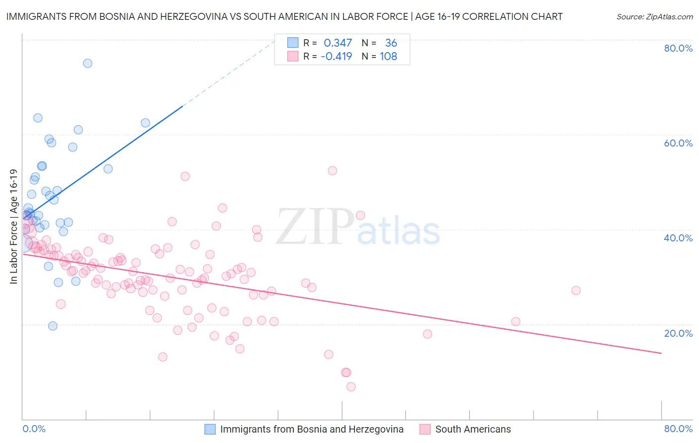 Immigrants from Bosnia and Herzegovina vs South American In Labor Force | Age 16-19