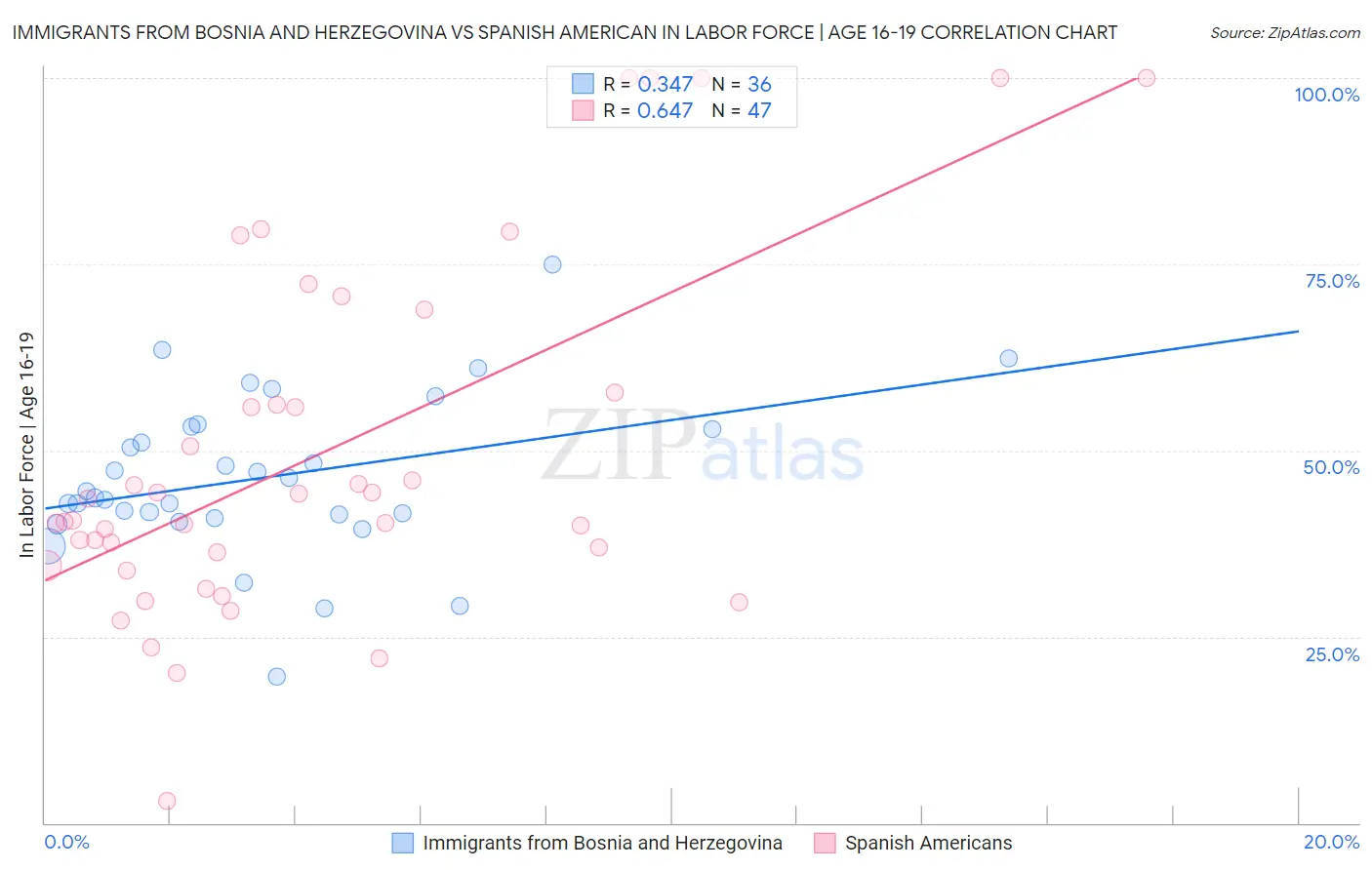 Immigrants from Bosnia and Herzegovina vs Spanish American In Labor Force | Age 16-19