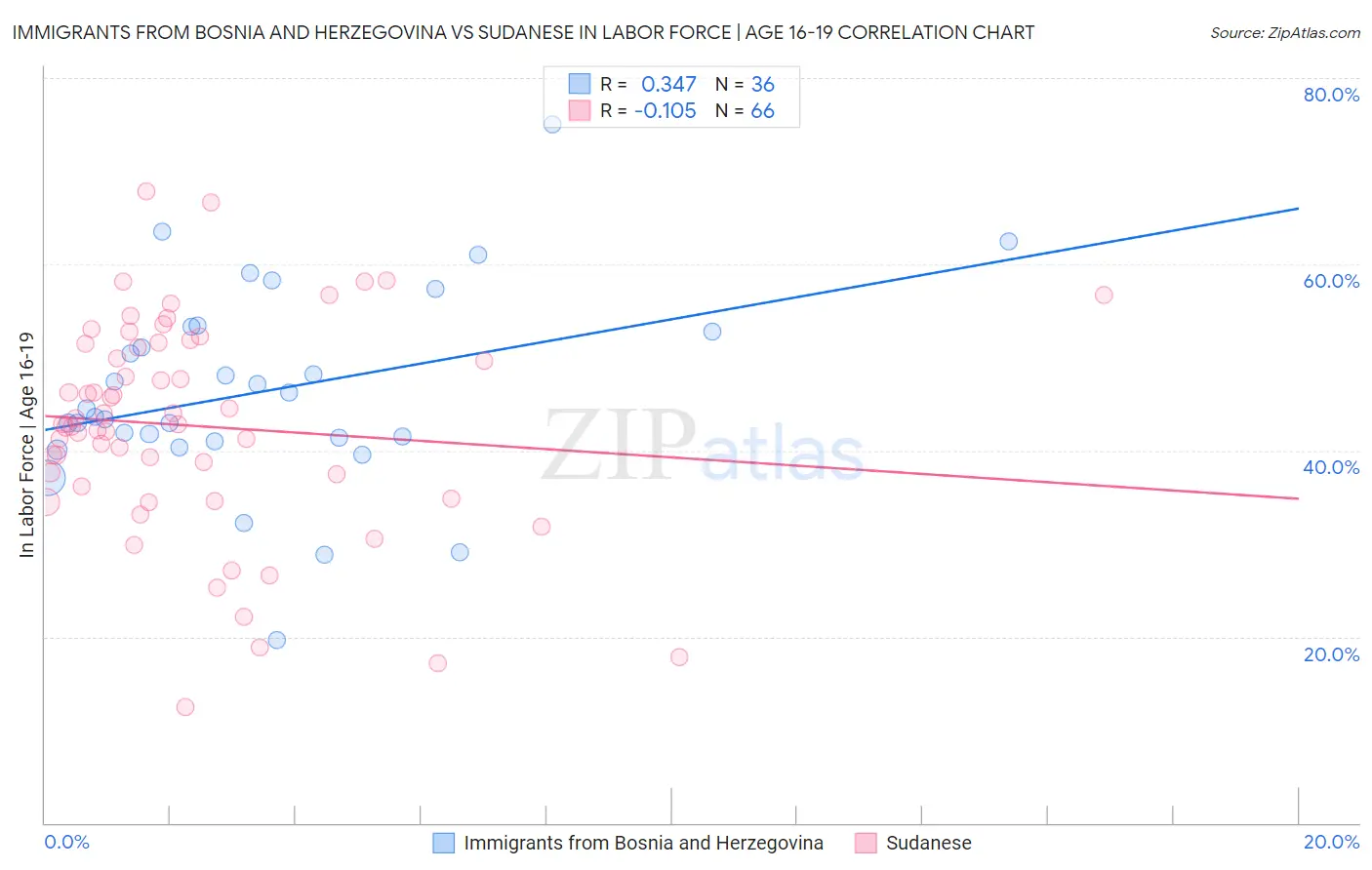 Immigrants from Bosnia and Herzegovina vs Sudanese In Labor Force | Age 16-19