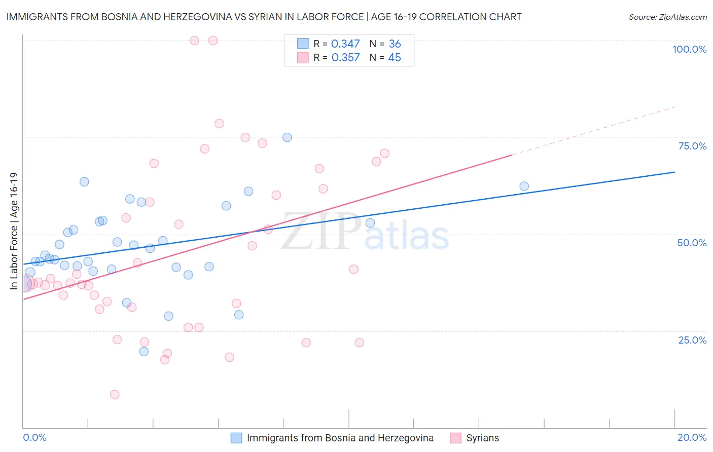 Immigrants from Bosnia and Herzegovina vs Syrian In Labor Force | Age 16-19