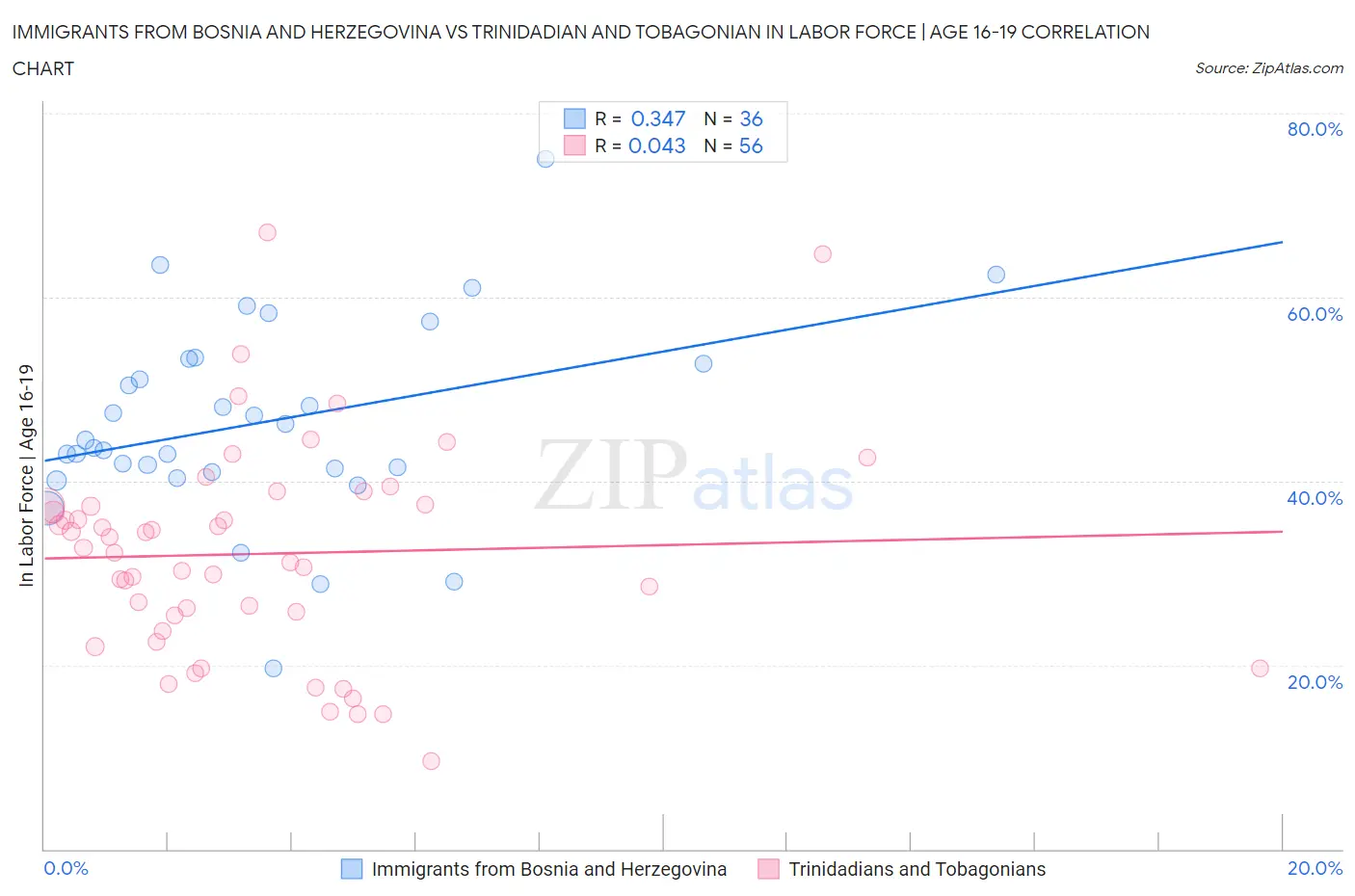 Immigrants from Bosnia and Herzegovina vs Trinidadian and Tobagonian In Labor Force | Age 16-19