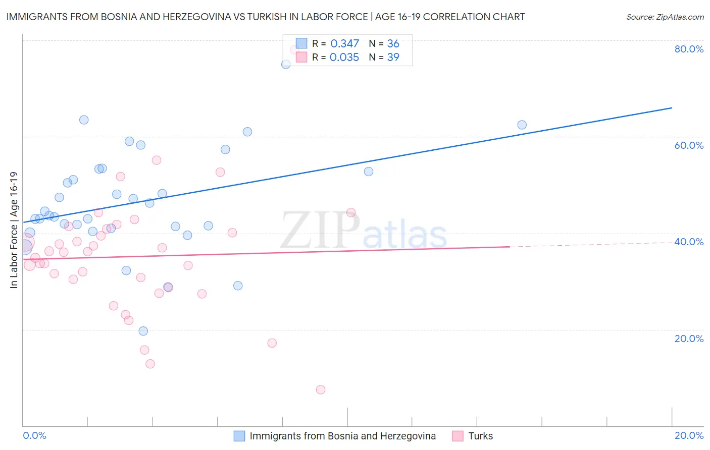 Immigrants from Bosnia and Herzegovina vs Turkish In Labor Force | Age 16-19