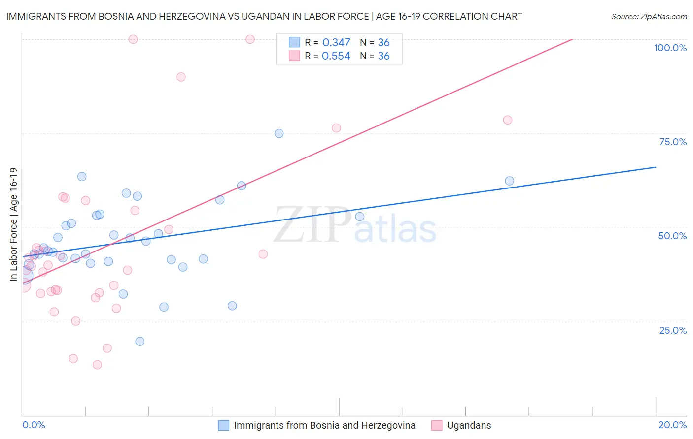 Immigrants from Bosnia and Herzegovina vs Ugandan In Labor Force | Age 16-19