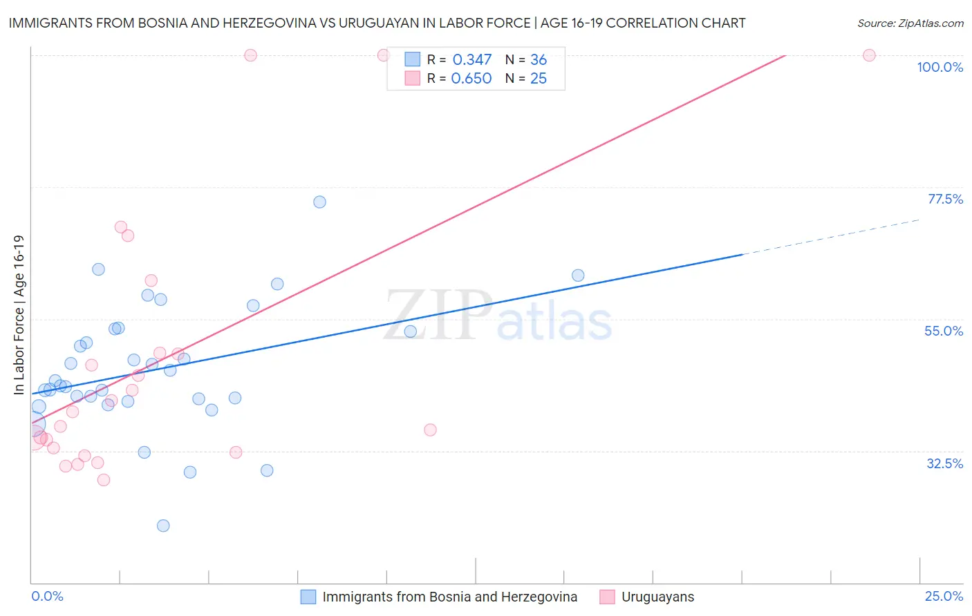 Immigrants from Bosnia and Herzegovina vs Uruguayan In Labor Force | Age 16-19