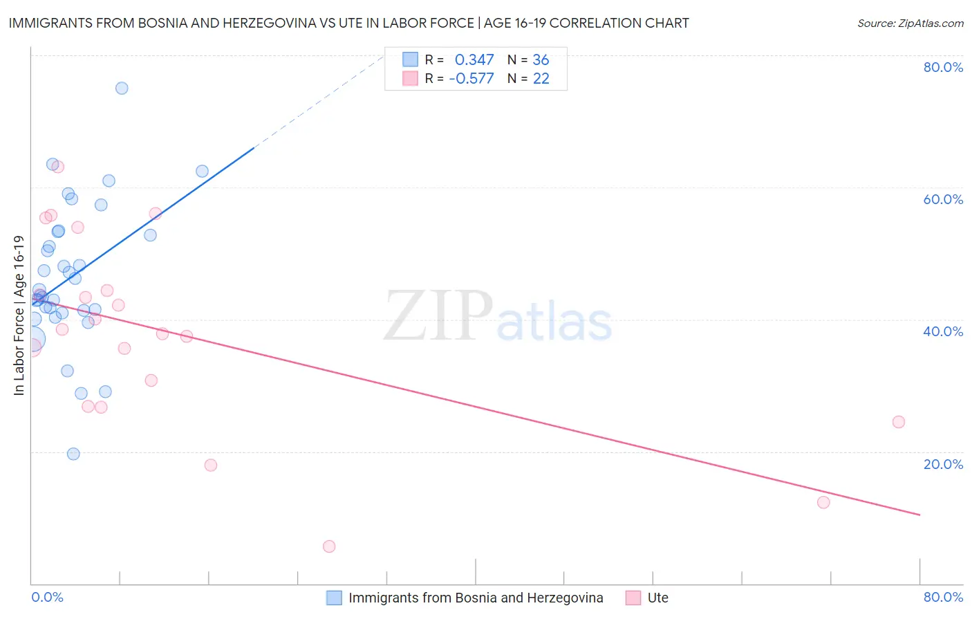 Immigrants from Bosnia and Herzegovina vs Ute In Labor Force | Age 16-19
