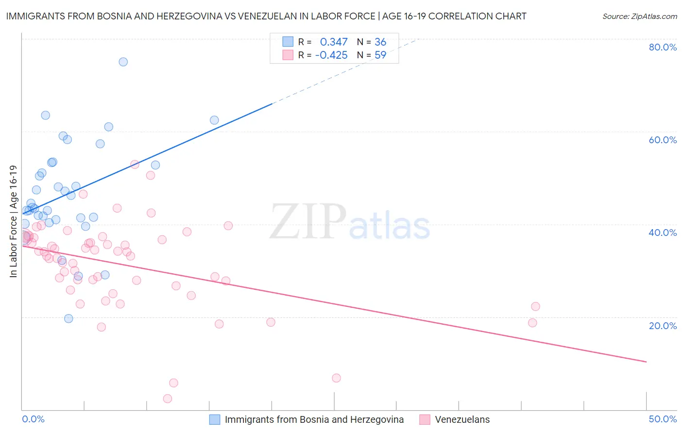 Immigrants from Bosnia and Herzegovina vs Venezuelan In Labor Force | Age 16-19
