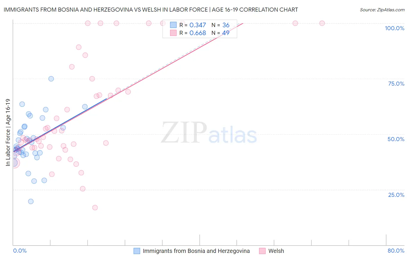 Immigrants from Bosnia and Herzegovina vs Welsh In Labor Force | Age 16-19