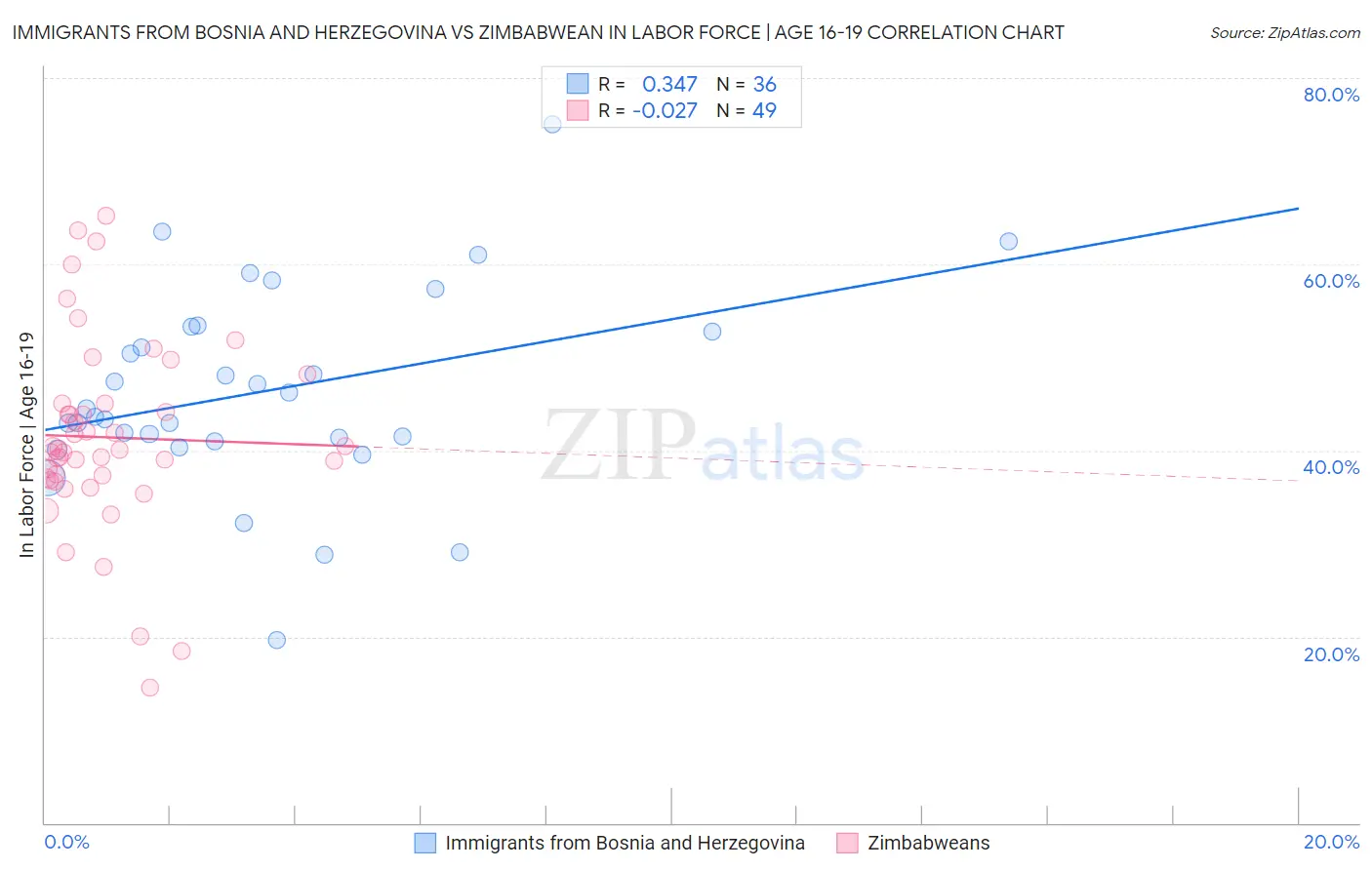 Immigrants from Bosnia and Herzegovina vs Zimbabwean In Labor Force | Age 16-19
