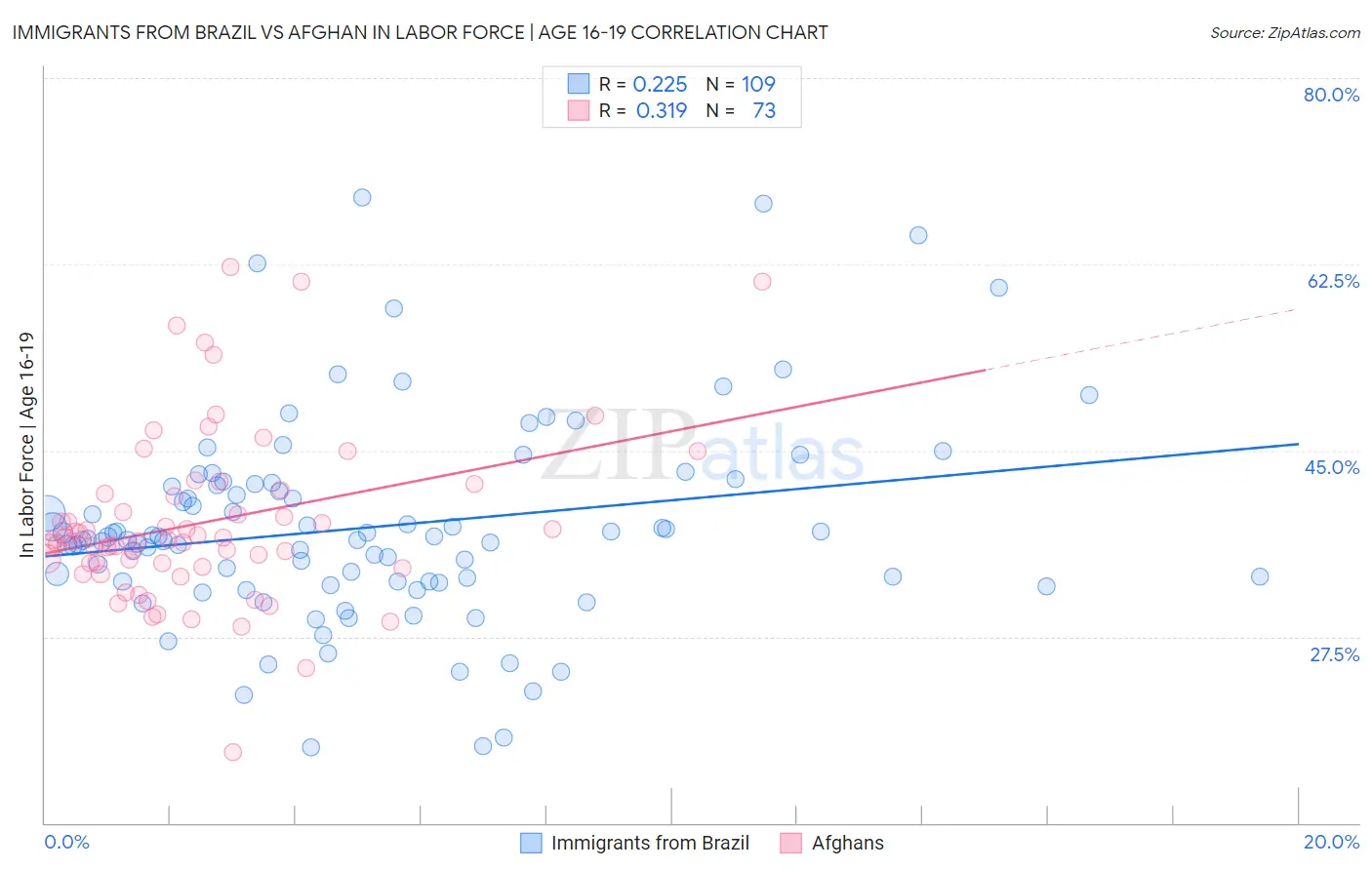 Immigrants from Brazil vs Afghan In Labor Force | Age 16-19