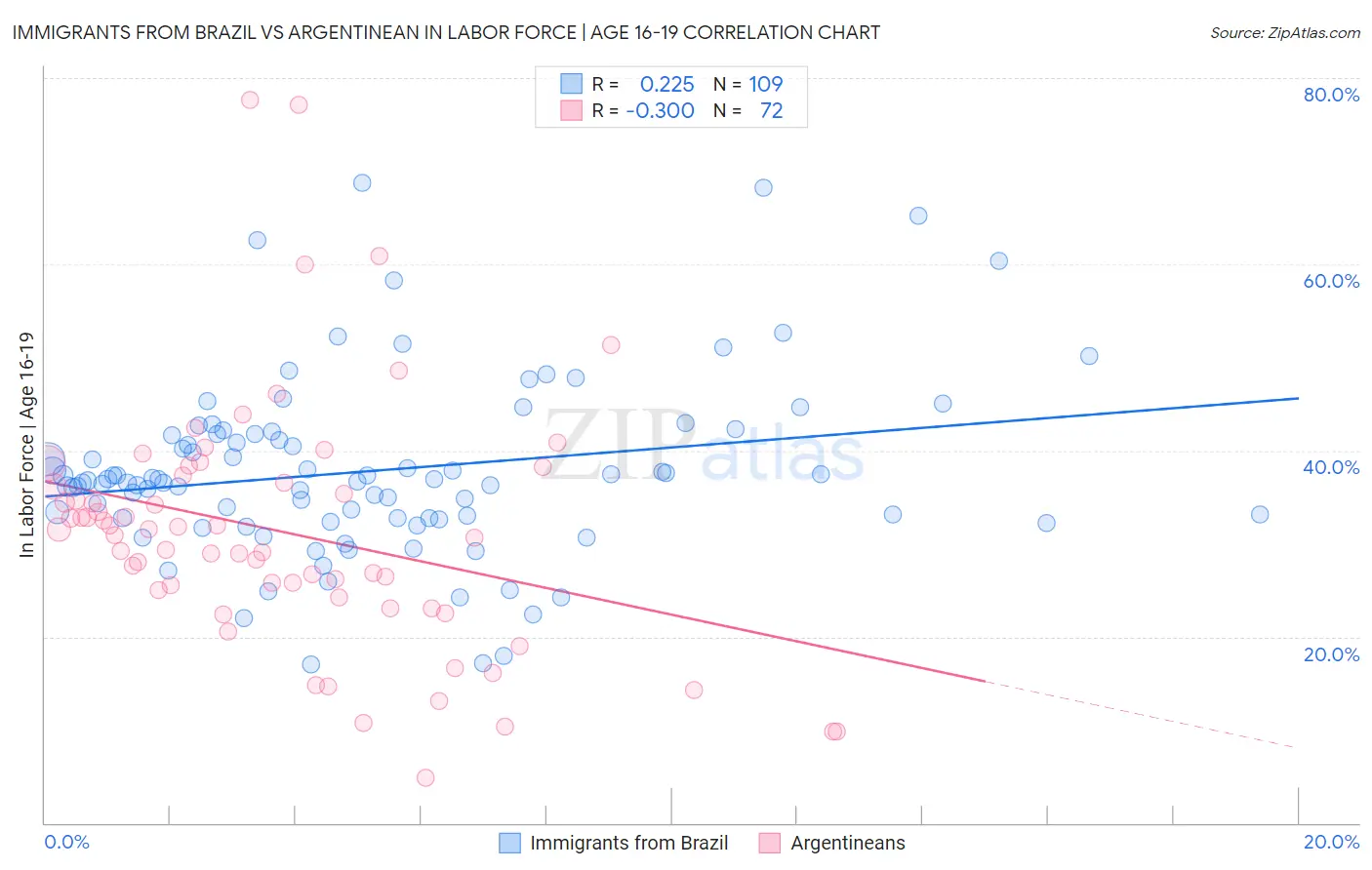 Immigrants from Brazil vs Argentinean In Labor Force | Age 16-19