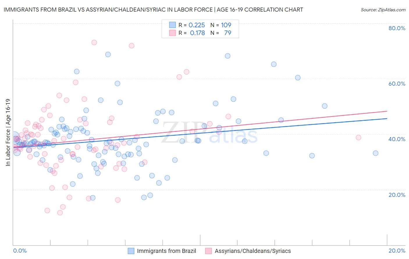 Immigrants from Brazil vs Assyrian/Chaldean/Syriac In Labor Force | Age 16-19