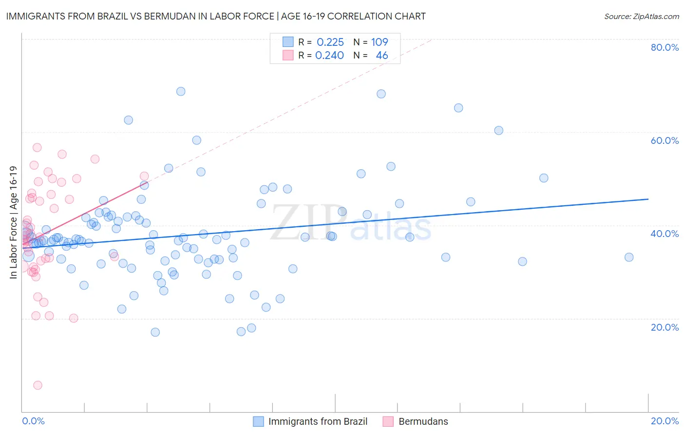 Immigrants from Brazil vs Bermudan In Labor Force | Age 16-19