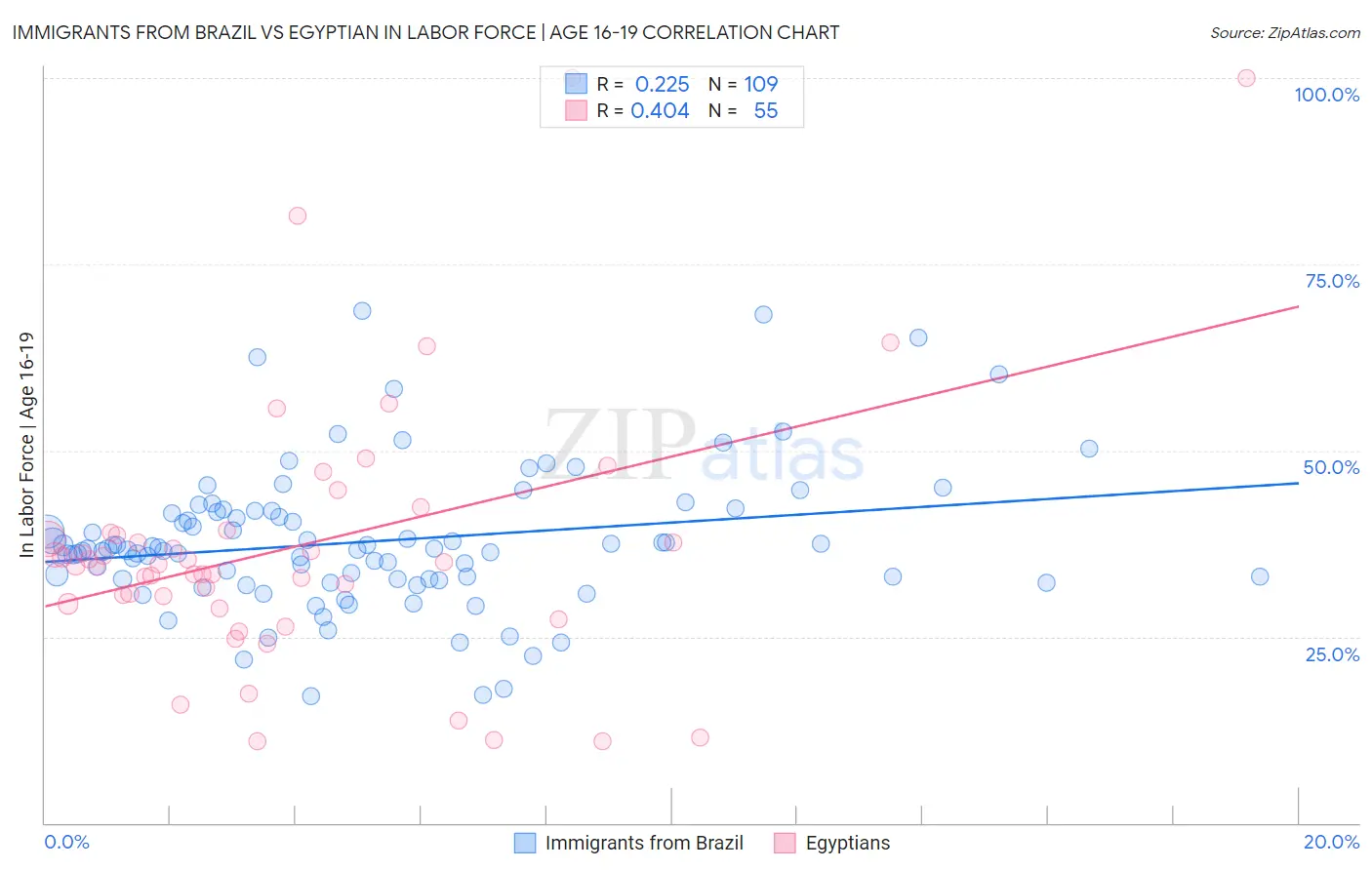 Immigrants from Brazil vs Egyptian In Labor Force | Age 16-19