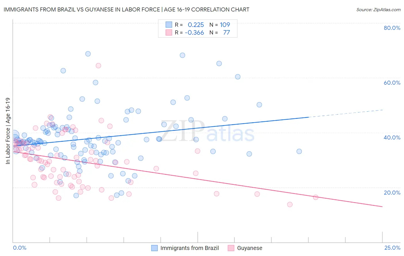 Immigrants from Brazil vs Guyanese In Labor Force | Age 16-19