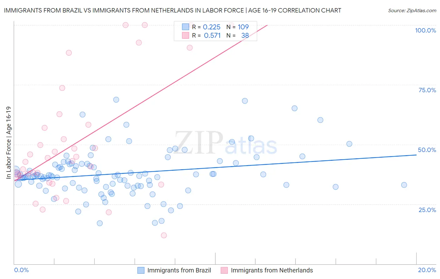 Immigrants from Brazil vs Immigrants from Netherlands In Labor Force | Age 16-19