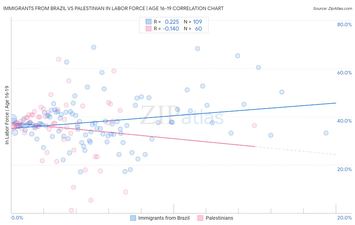 Immigrants from Brazil vs Palestinian In Labor Force | Age 16-19