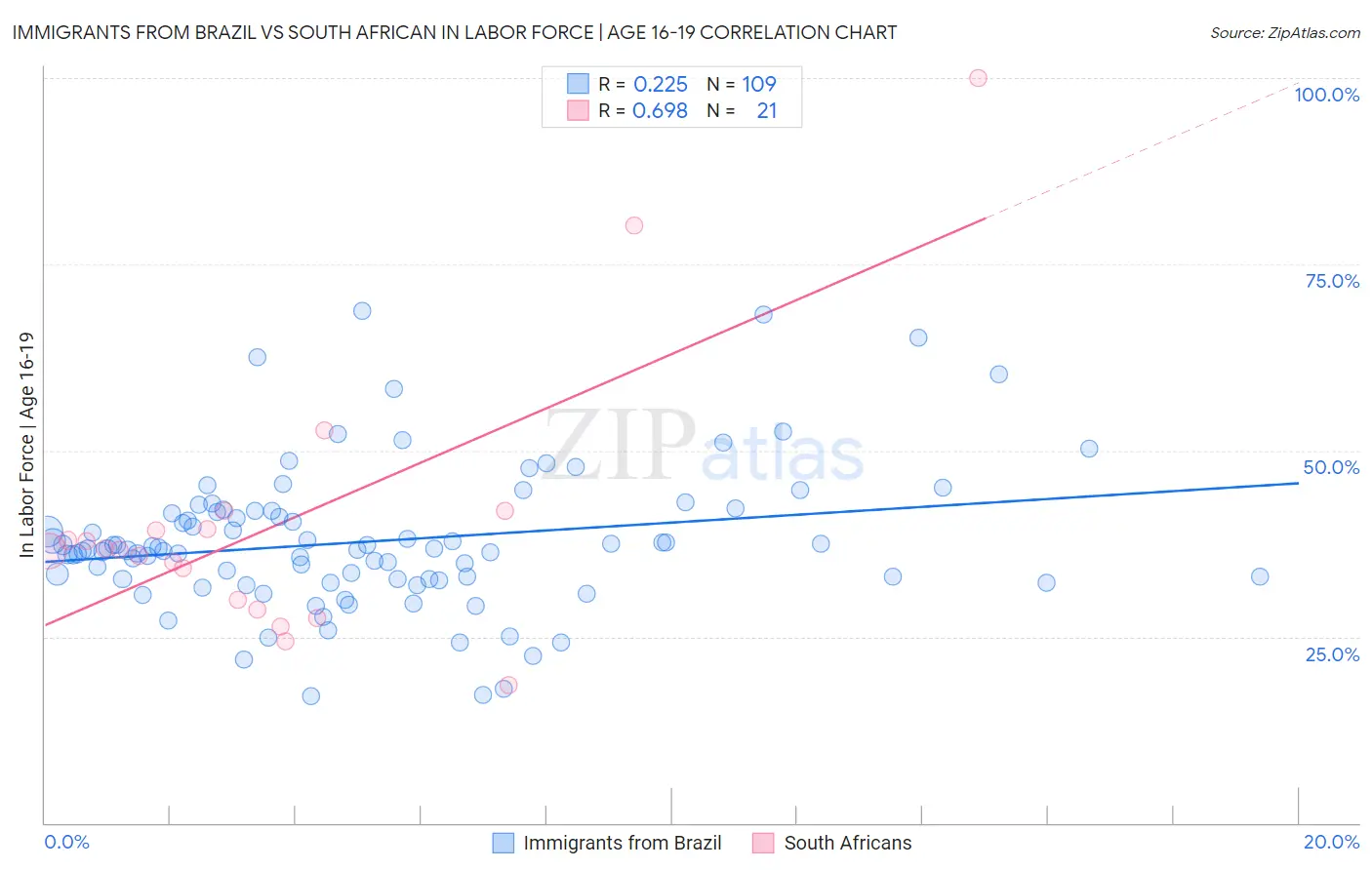 Immigrants from Brazil vs South African In Labor Force | Age 16-19
