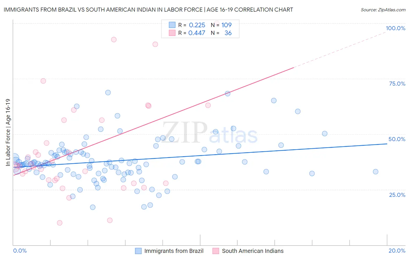 Immigrants from Brazil vs South American Indian In Labor Force | Age 16-19