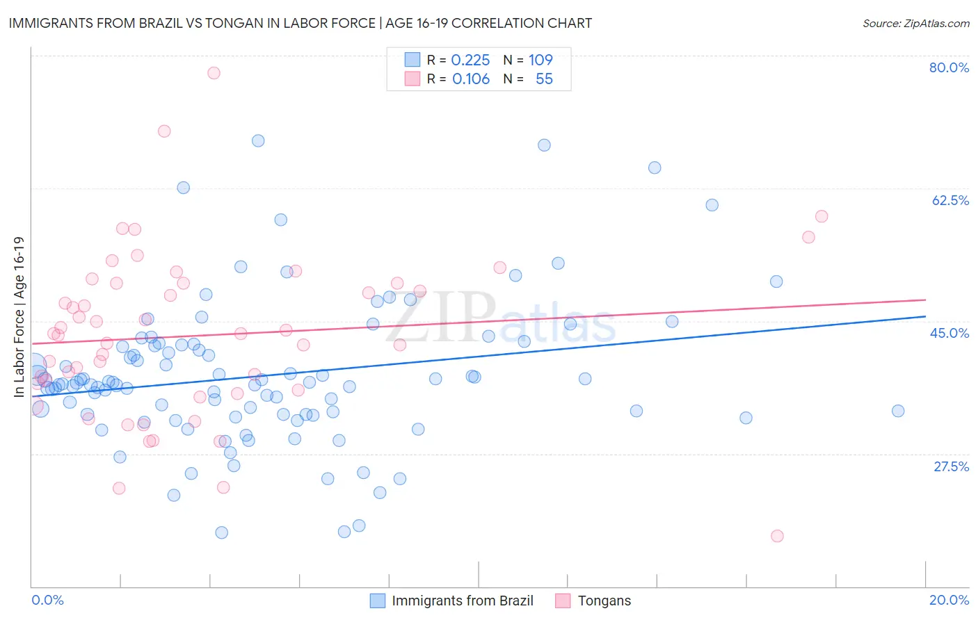 Immigrants from Brazil vs Tongan In Labor Force | Age 16-19
