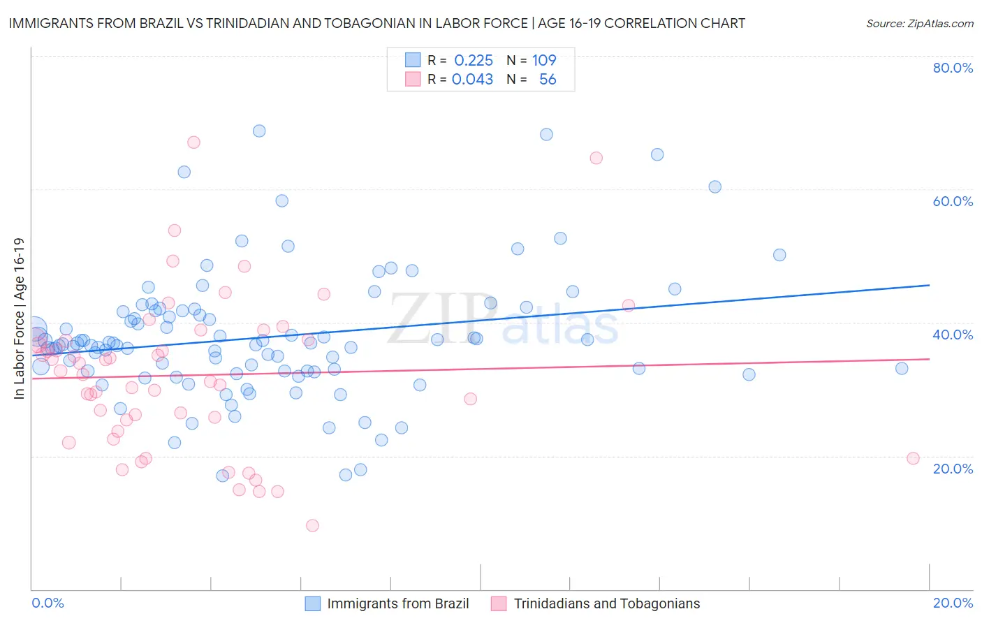 Immigrants from Brazil vs Trinidadian and Tobagonian In Labor Force | Age 16-19