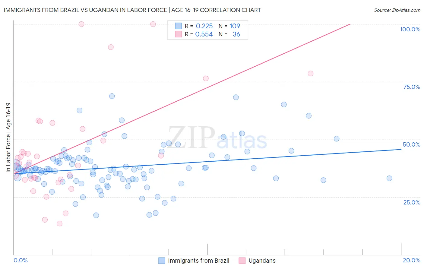 Immigrants from Brazil vs Ugandan In Labor Force | Age 16-19