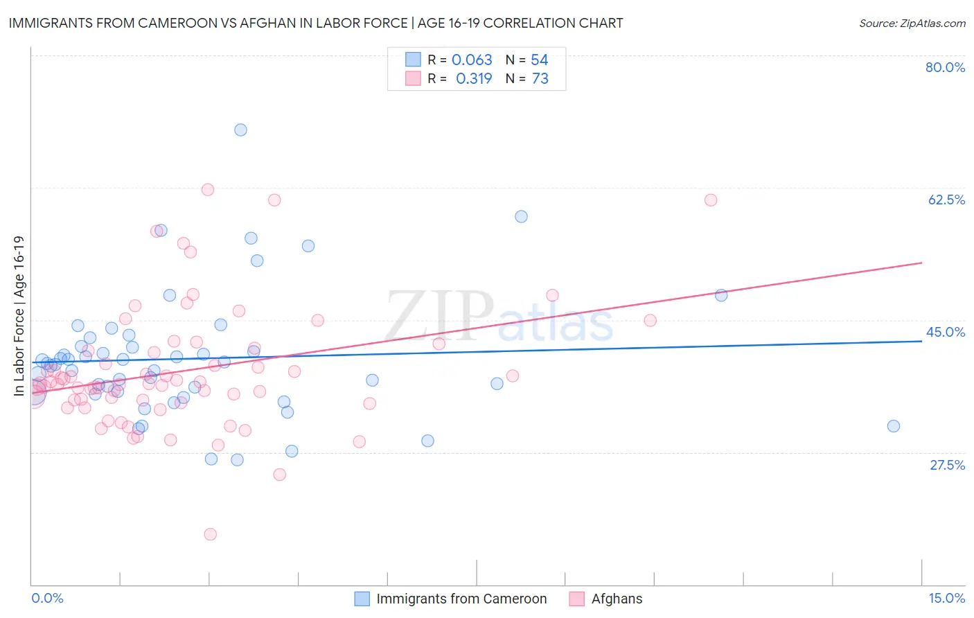 Immigrants from Cameroon vs Afghan In Labor Force | Age 16-19