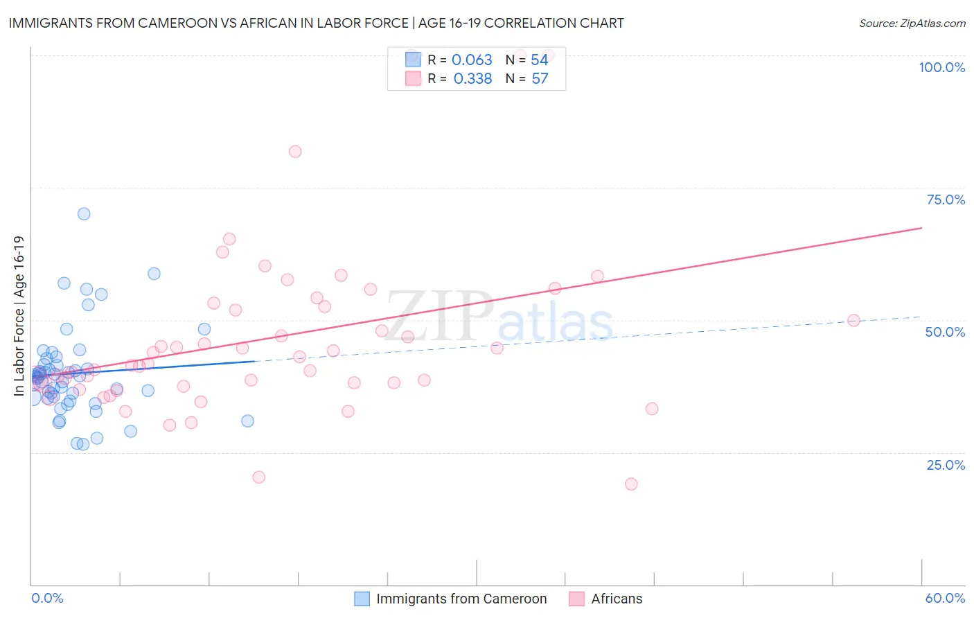Immigrants from Cameroon vs African In Labor Force | Age 16-19