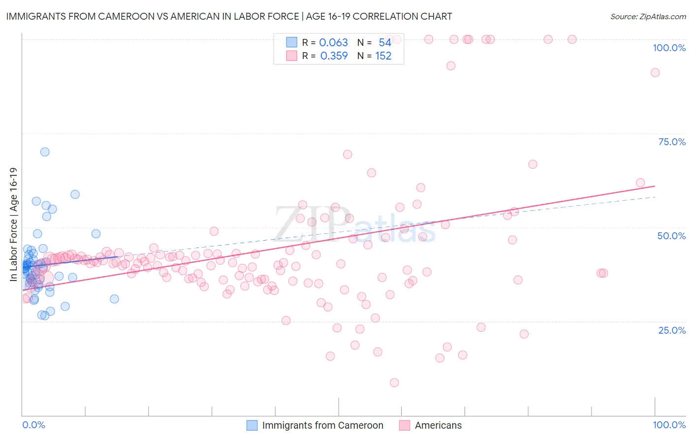 Immigrants from Cameroon vs American In Labor Force | Age 16-19