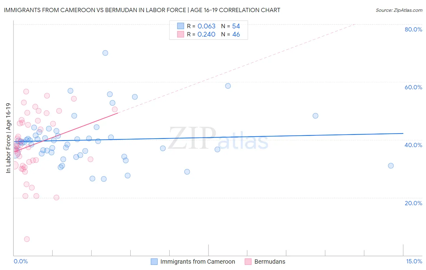 Immigrants from Cameroon vs Bermudan In Labor Force | Age 16-19