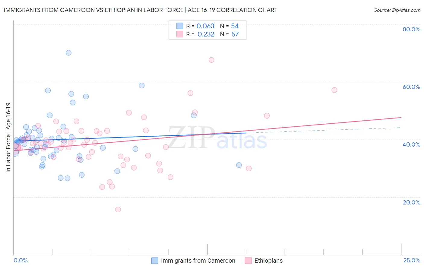 Immigrants from Cameroon vs Ethiopian In Labor Force | Age 16-19