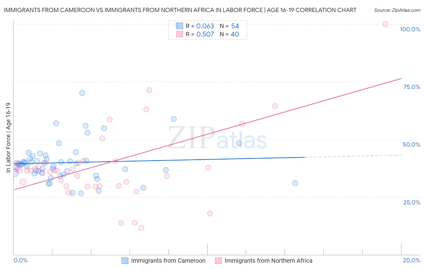 Immigrants from Cameroon vs Immigrants from Northern Africa In Labor Force | Age 16-19