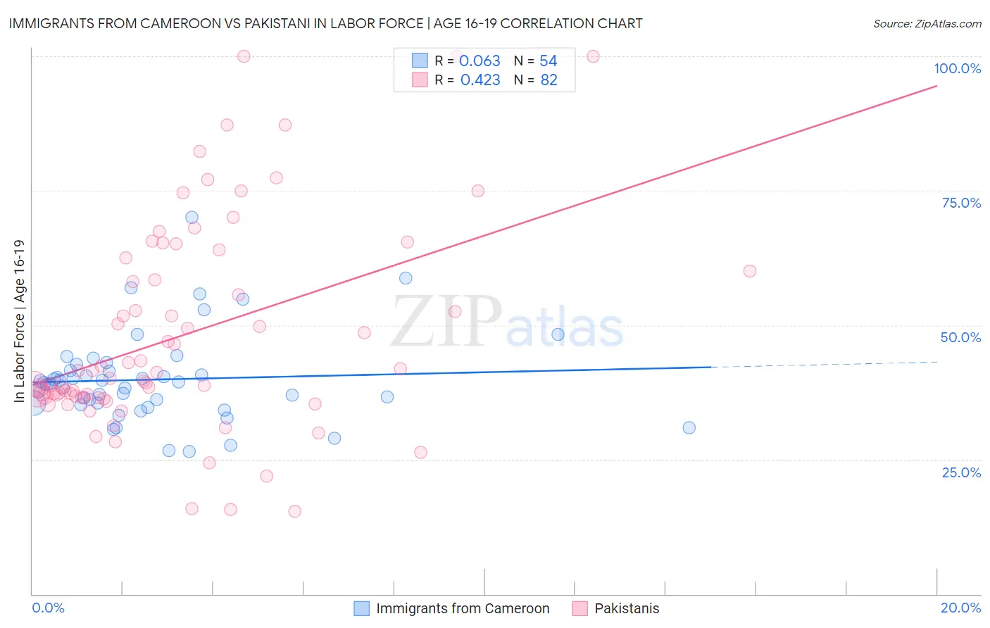 Immigrants from Cameroon vs Pakistani In Labor Force | Age 16-19