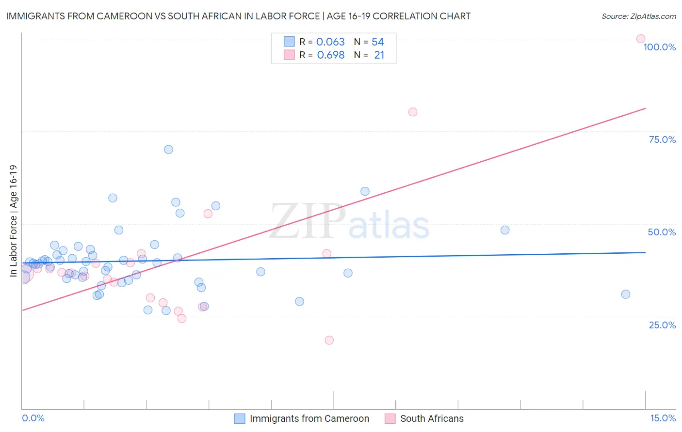 Immigrants from Cameroon vs South African In Labor Force | Age 16-19