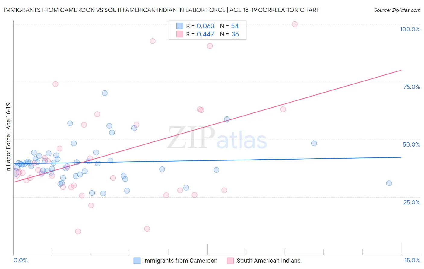 Immigrants from Cameroon vs South American Indian In Labor Force | Age 16-19