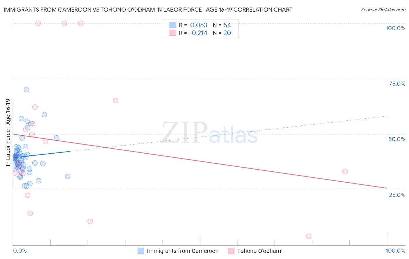 Immigrants from Cameroon vs Tohono O'odham In Labor Force | Age 16-19