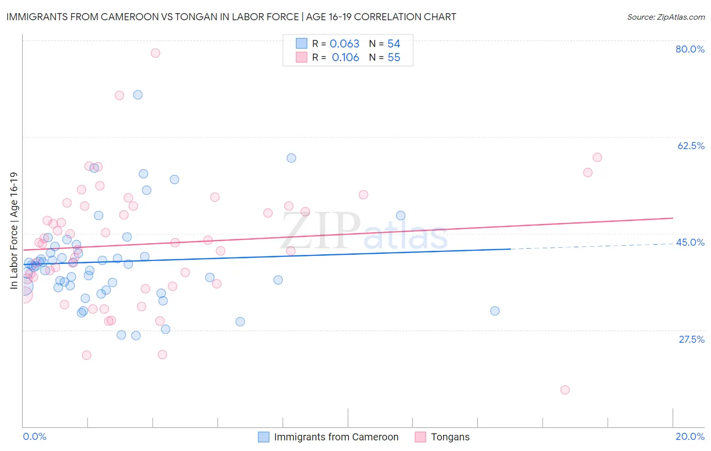 Immigrants from Cameroon vs Tongan In Labor Force | Age 16-19