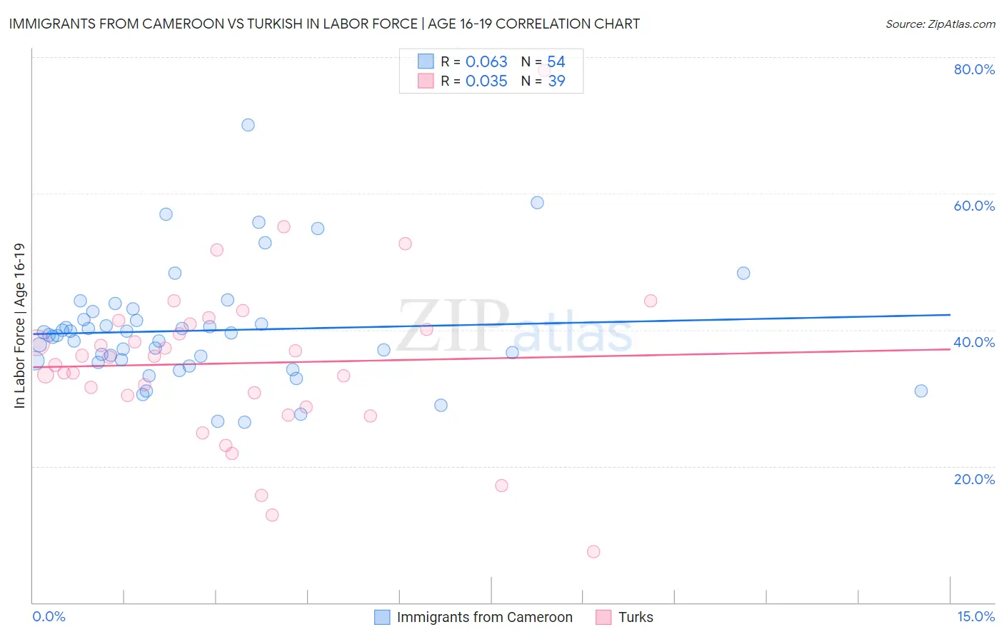 Immigrants from Cameroon vs Turkish In Labor Force | Age 16-19