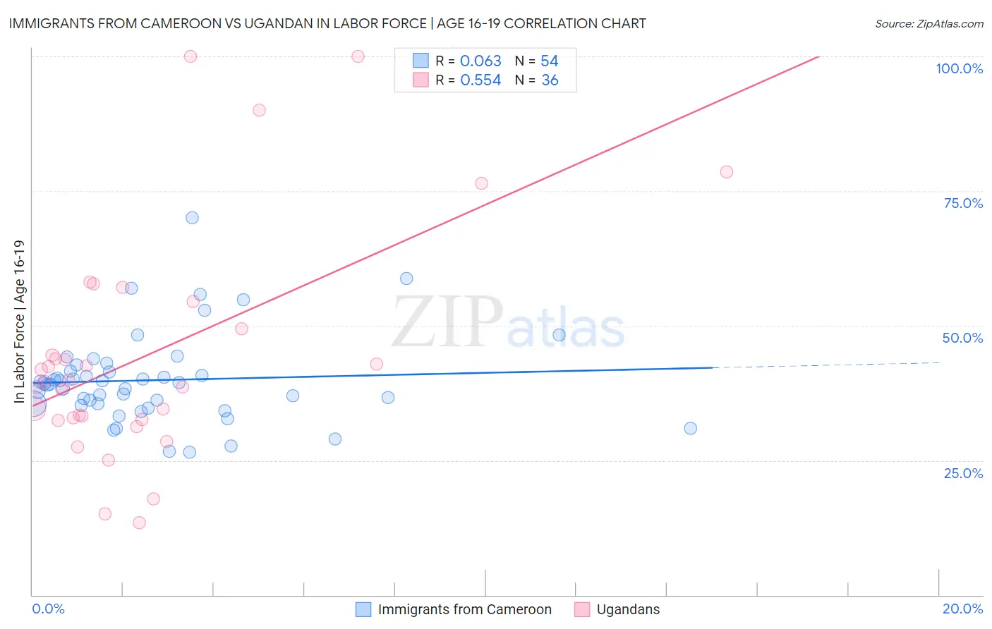 Immigrants from Cameroon vs Ugandan In Labor Force | Age 16-19