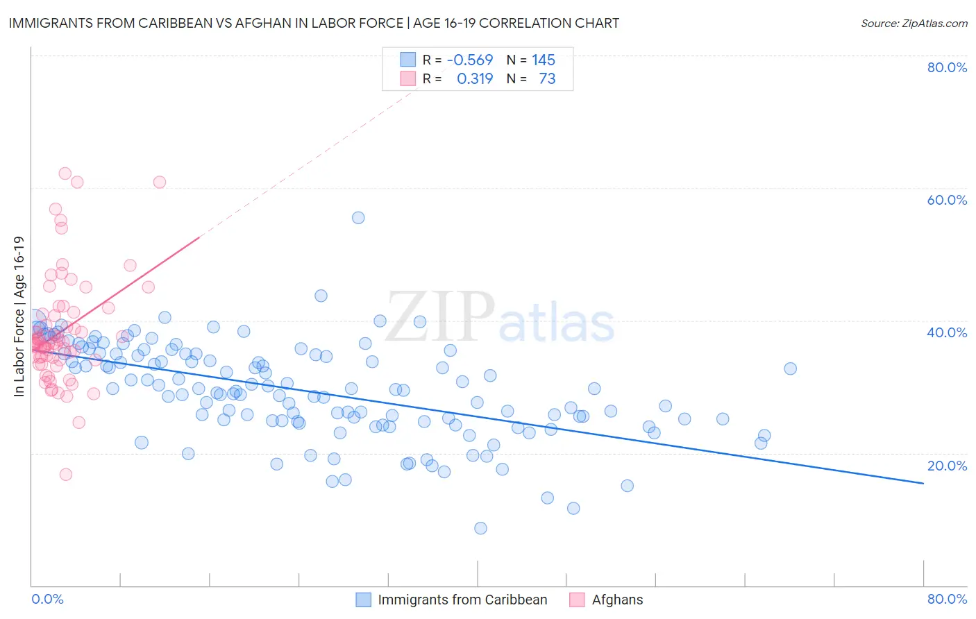 Immigrants from Caribbean vs Afghan In Labor Force | Age 16-19
