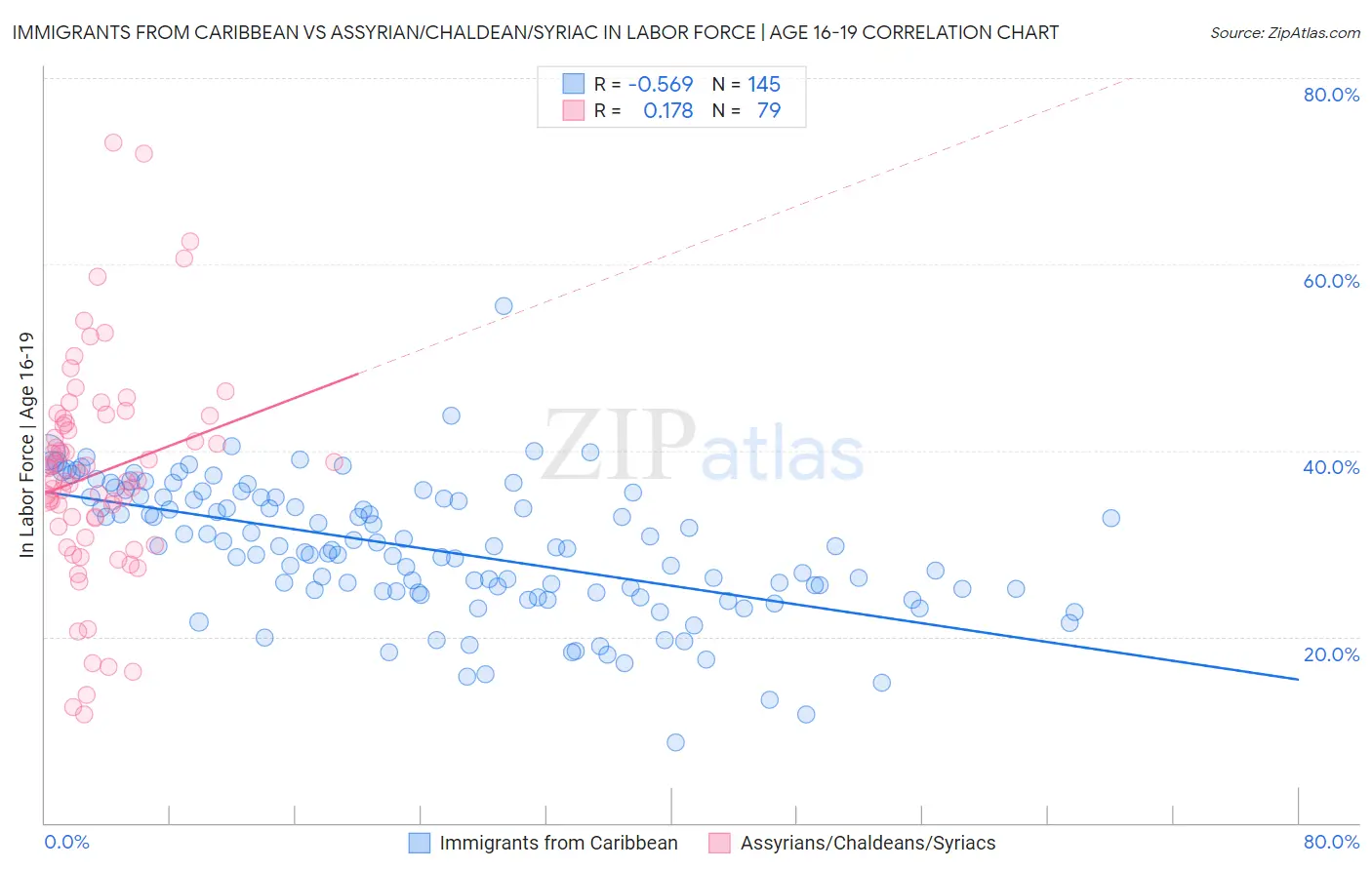 Immigrants from Caribbean vs Assyrian/Chaldean/Syriac In Labor Force | Age 16-19