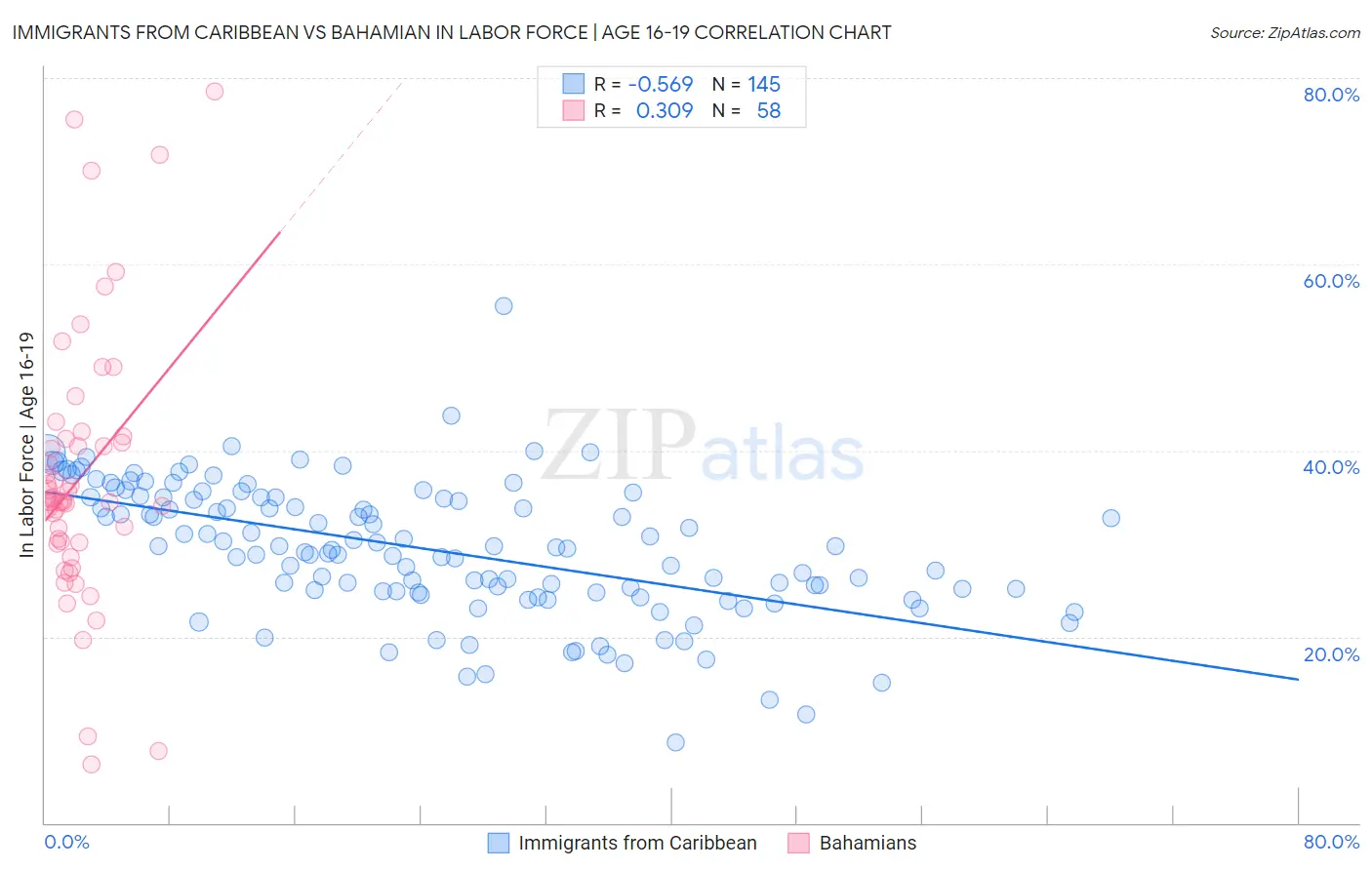 Immigrants from Caribbean vs Bahamian In Labor Force | Age 16-19