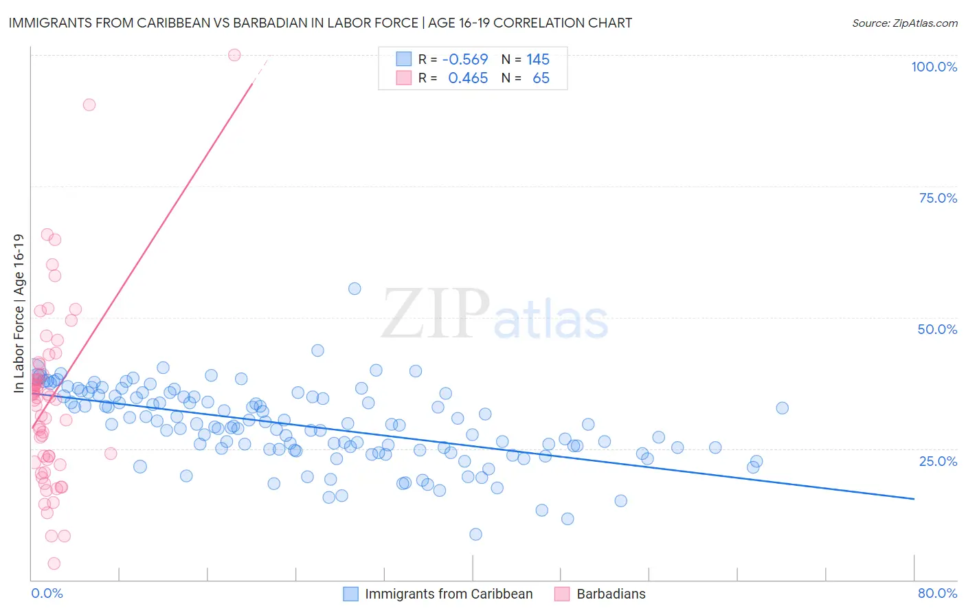 Immigrants from Caribbean vs Barbadian In Labor Force | Age 16-19